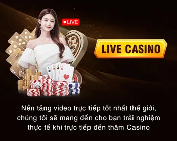 Chương trình VIP đấu gà MV88 Casino
